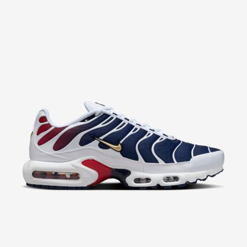 9ae2370132c2528b646a5762eda76bf6_1710907789.jpg Air Max Plus - PSG