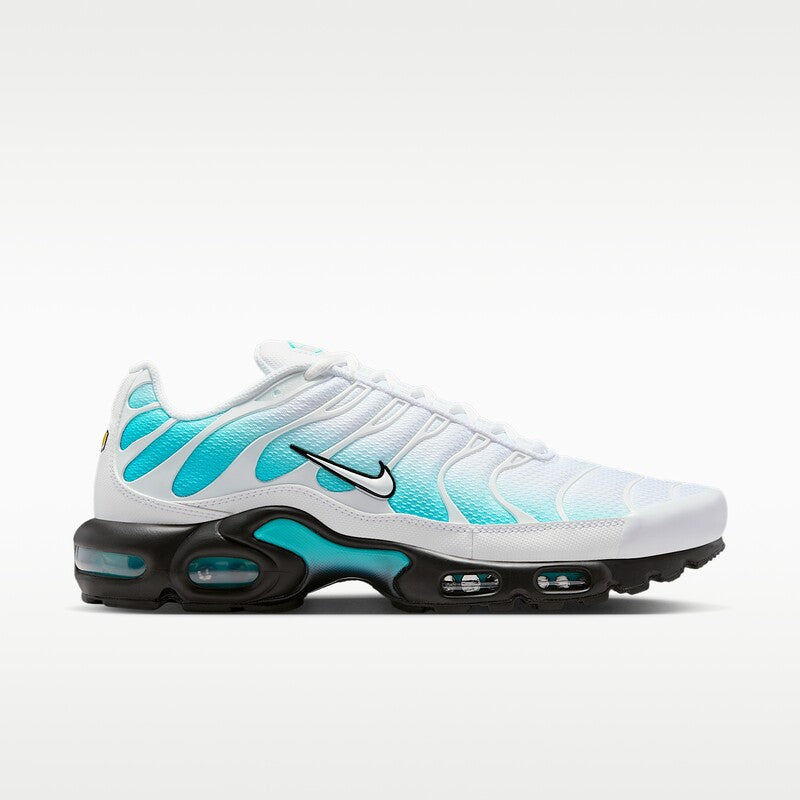 Nike Air Max Plus - Dusty Cactus