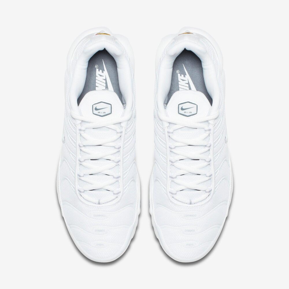 a38e0090c126d6d0477287a2b4b11de9_1603908347.jpg Air Max Plus - Total White