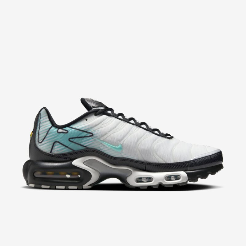 Nike Air Max Plus - Mercurial Vapor