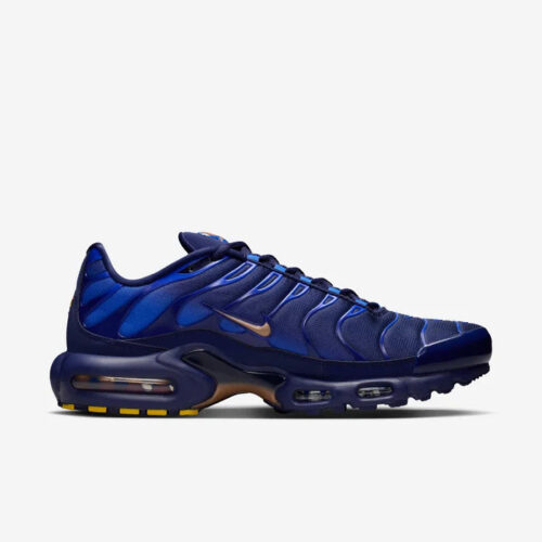 c08610ac_ad0d_458b_9288_4e1a57b174f8.jpg Nike Air Max Plus - French Football Federation
