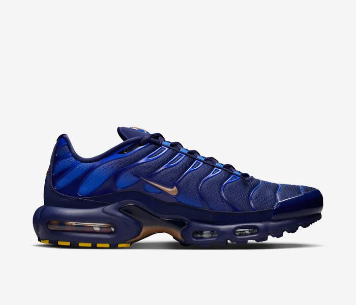 Nike Air Max Plus - French Football Federation