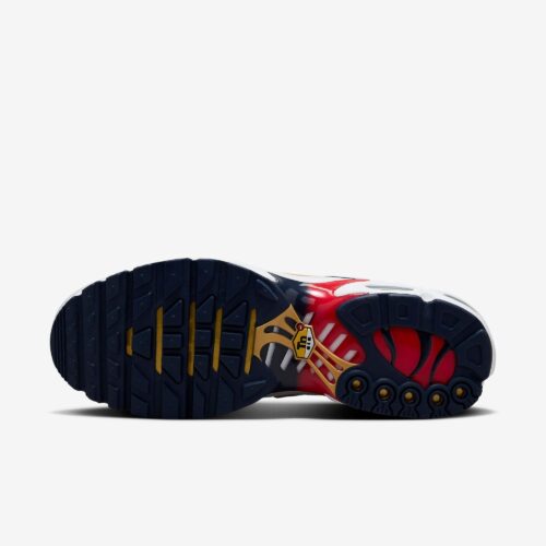 d3df8f6716134aa8b42fba63ab6cba08_1710907787.jpg Air Max Plus - PSG